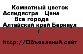 Комнатный цветок Аспидистра › Цена ­ 150 - Все города  »    . Алтайский край,Барнаул г.